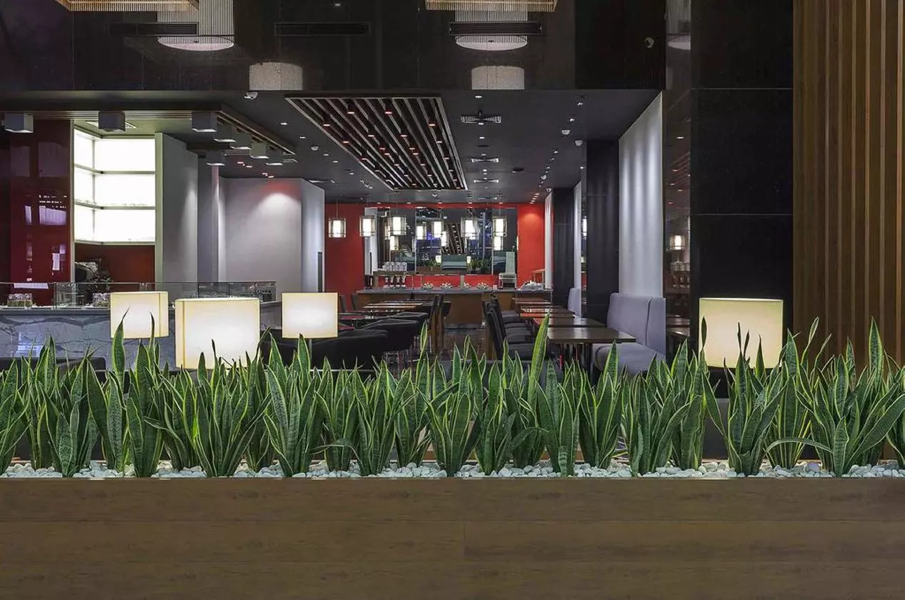 RAMADAENCORE_SHABAVIZ (16).jpg